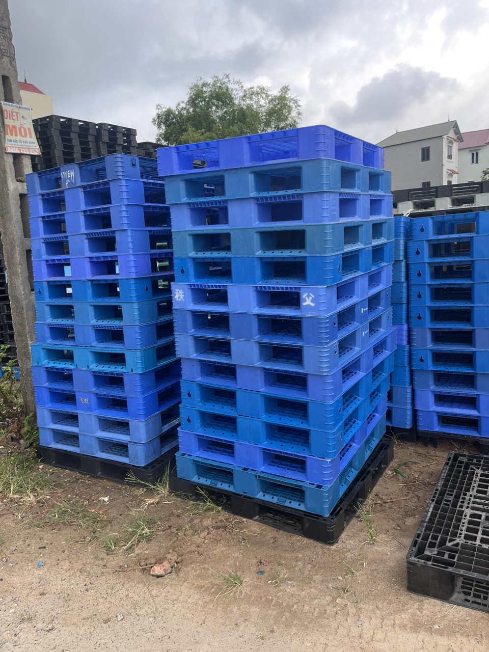 Pallet gỗ nhựa Vĩnh Phúc